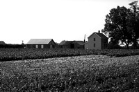Panther Rd. Farm